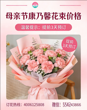 南宁兴宁区花店母亲节康乃馨花束