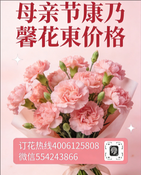 南宁兴宁区花店母亲节康乃馨花束